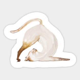 Yoga Cat Sticker